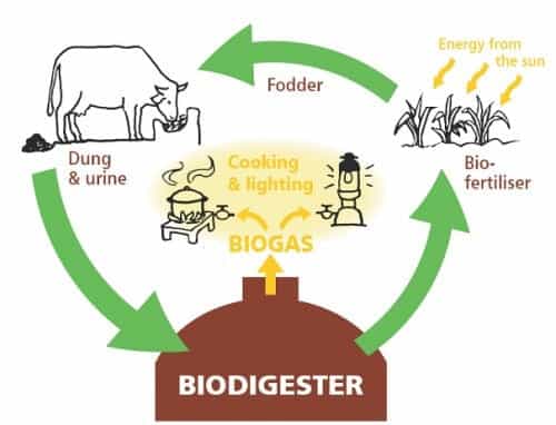 How A Biogas Digester Works