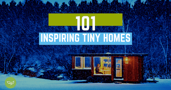 Couple's Dream Tiny House Combines Coziness With Urban Chic