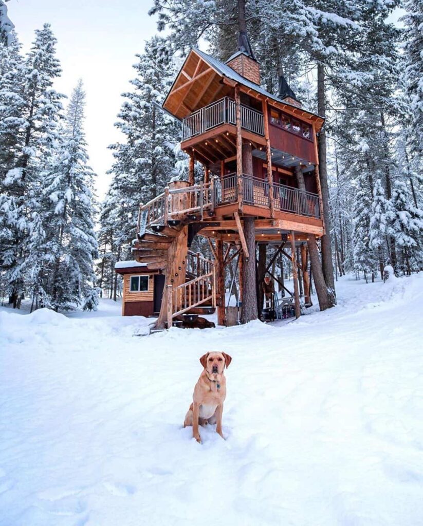 treehouse tiny house with spiraling staircase