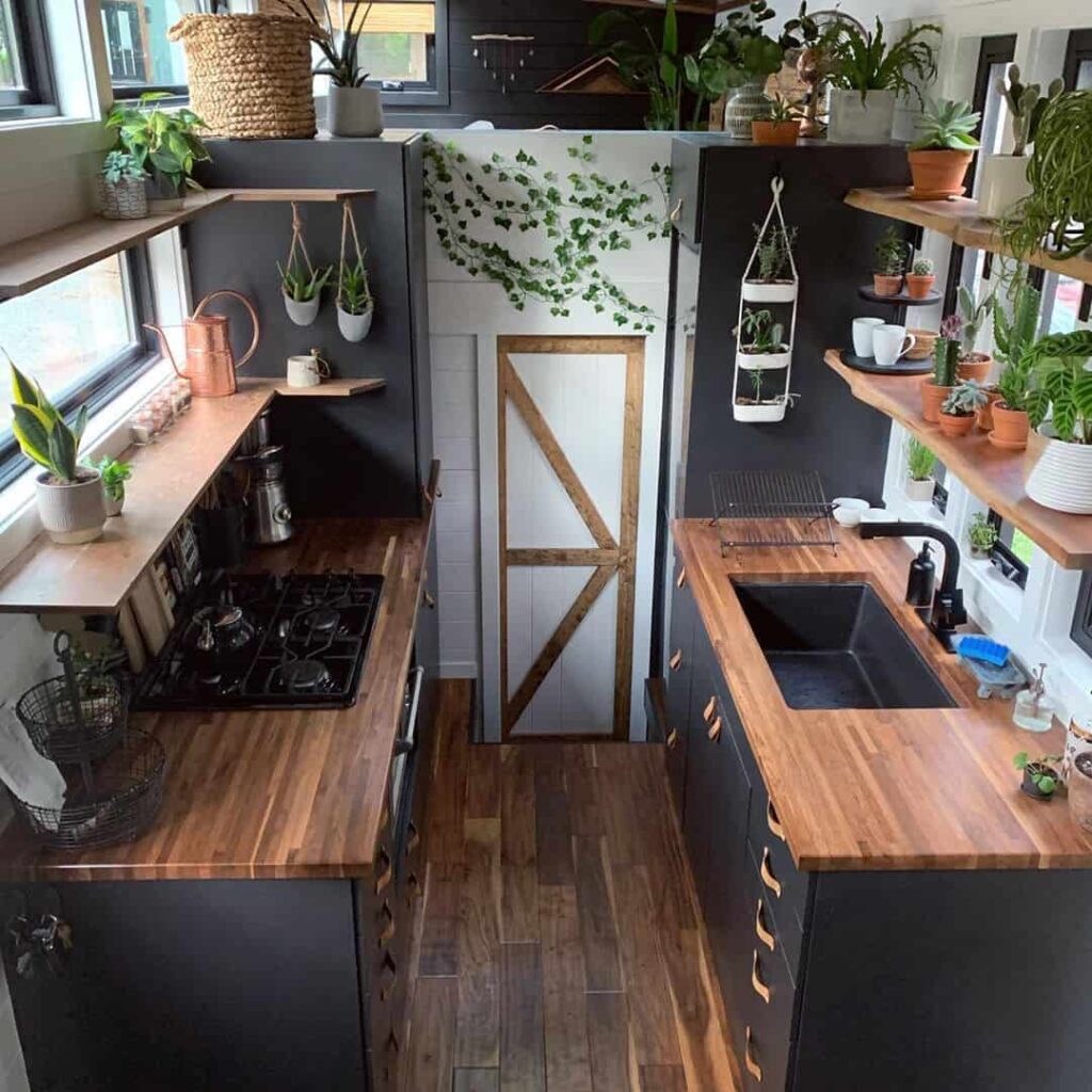 beautiful tiny home kitchen with plants