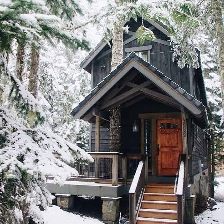 tiny home in the forest