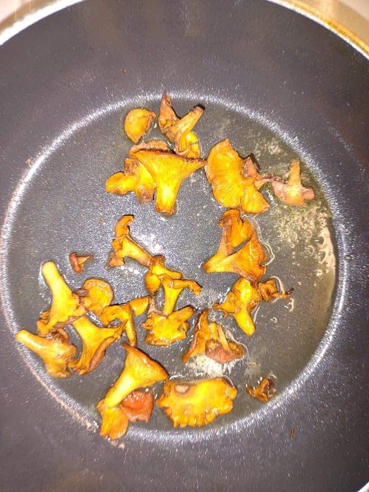 Cooking wild chanterelle mushrooms