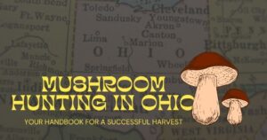 mushroom hunting in Ohio