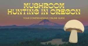 Mushroom hunting in Oregon