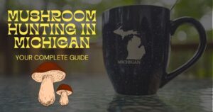 Michigan mushroom hunting